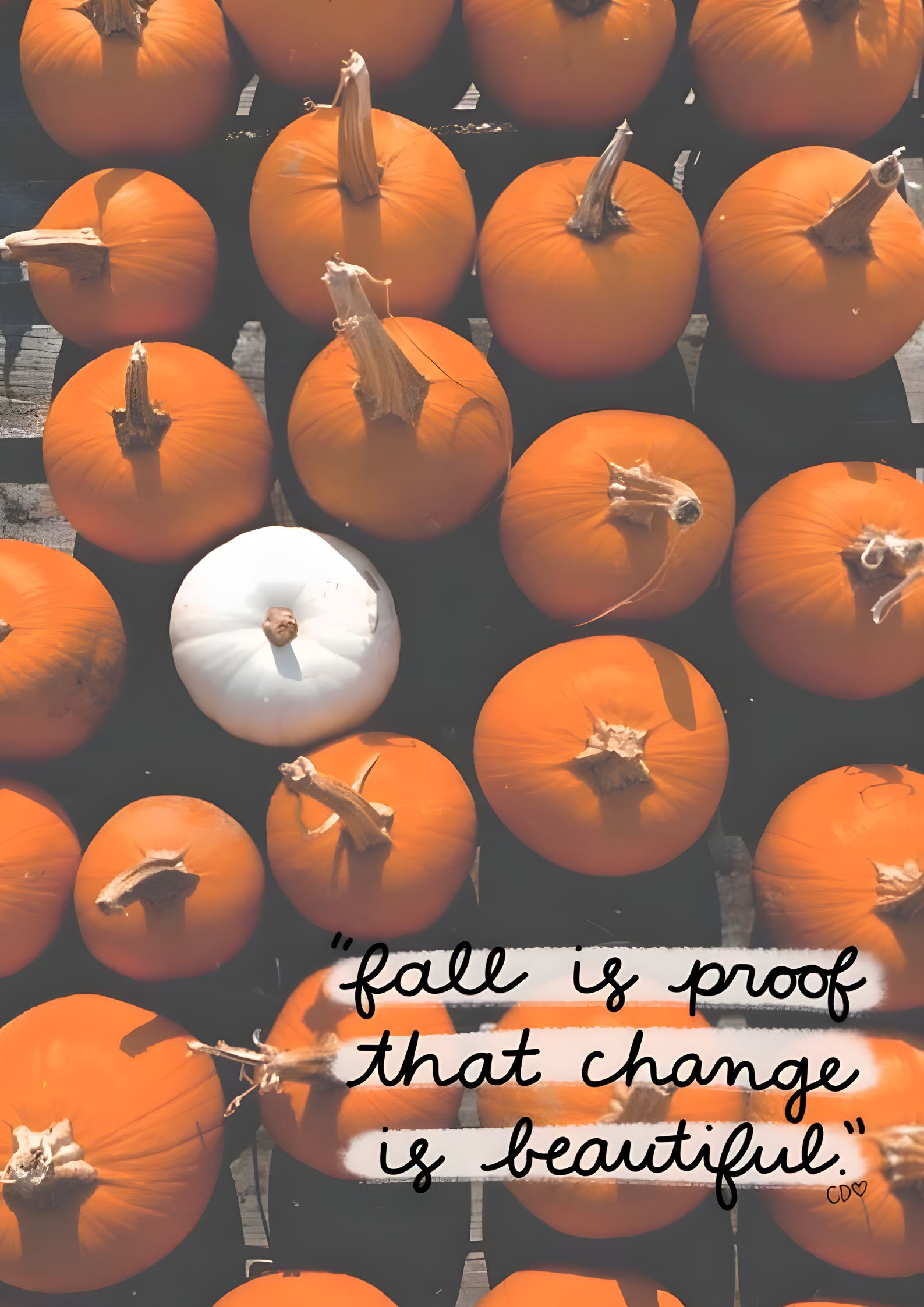 How To Stay Rooted In Faith When Life Gets Difficult