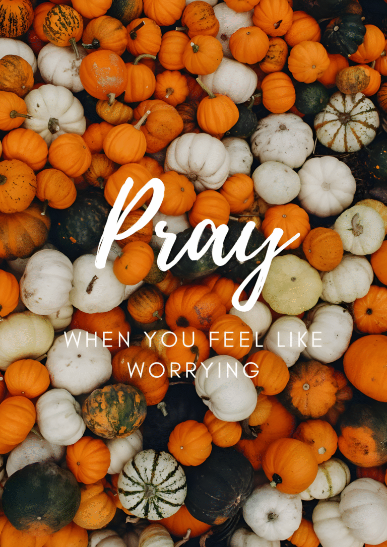 Exploring The Spiritual Beauty Of Biblical Lands And Regions