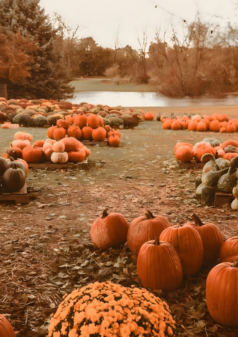 The Pursuit Of God By A.W. Tozer Book Review