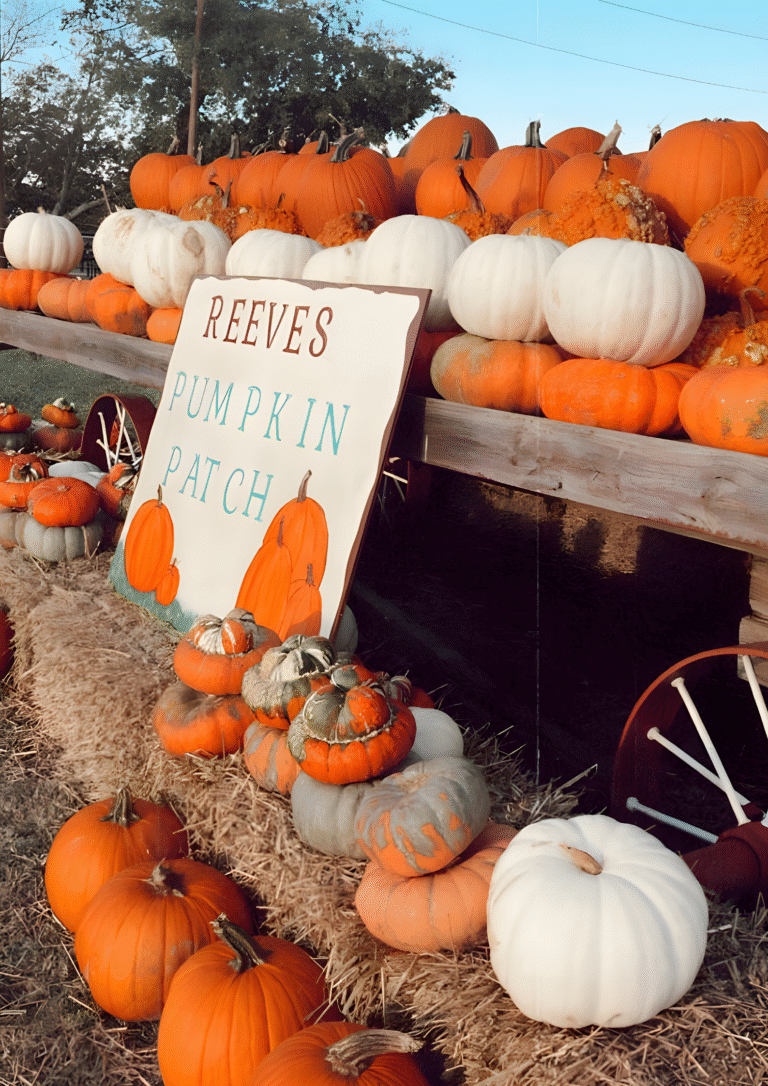 How To Pray With Confidence And See God Move In Your Life