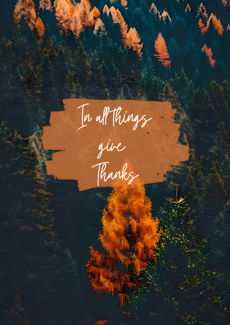 Pumpkin Cheesecake With Gingersnap Crust